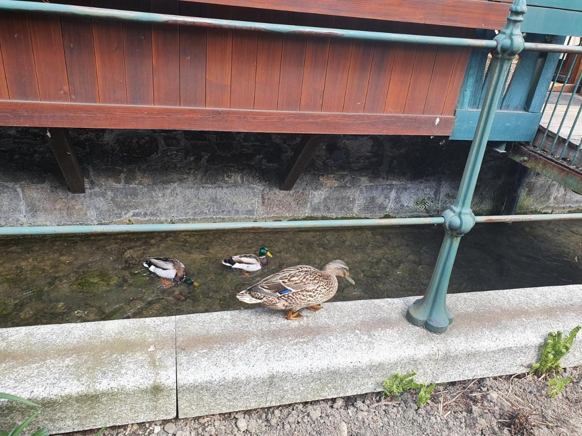 Apartamenty Magiczna Wenecja Cieszyn  Buitenkant foto